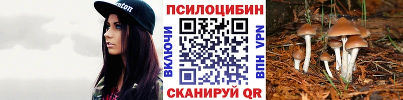 Псилоцибиновые грибы GOLDEN TEACHER  Лодейное Поле 